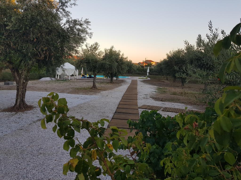 Oliveira Country House Figueira e Barros Buitenkant foto